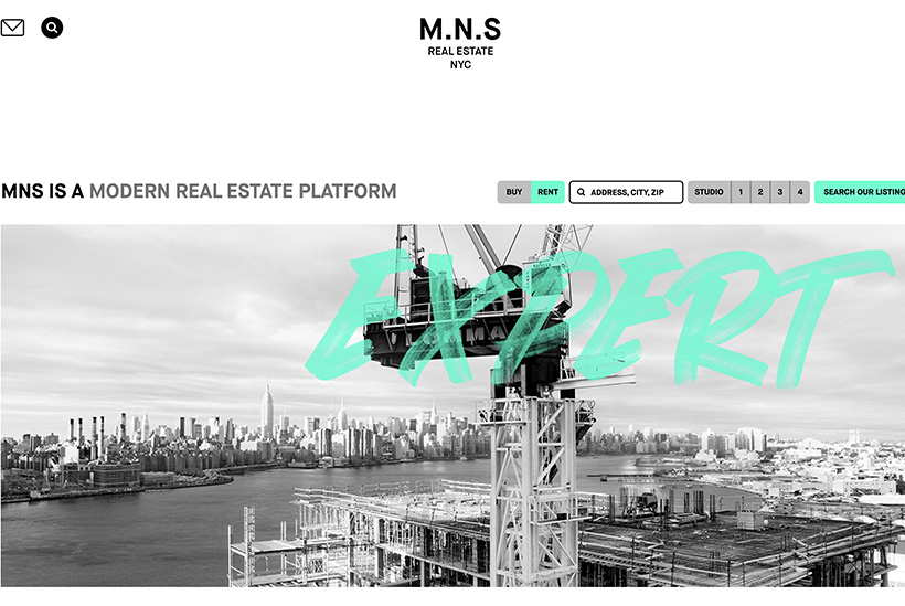 MNS web home page image