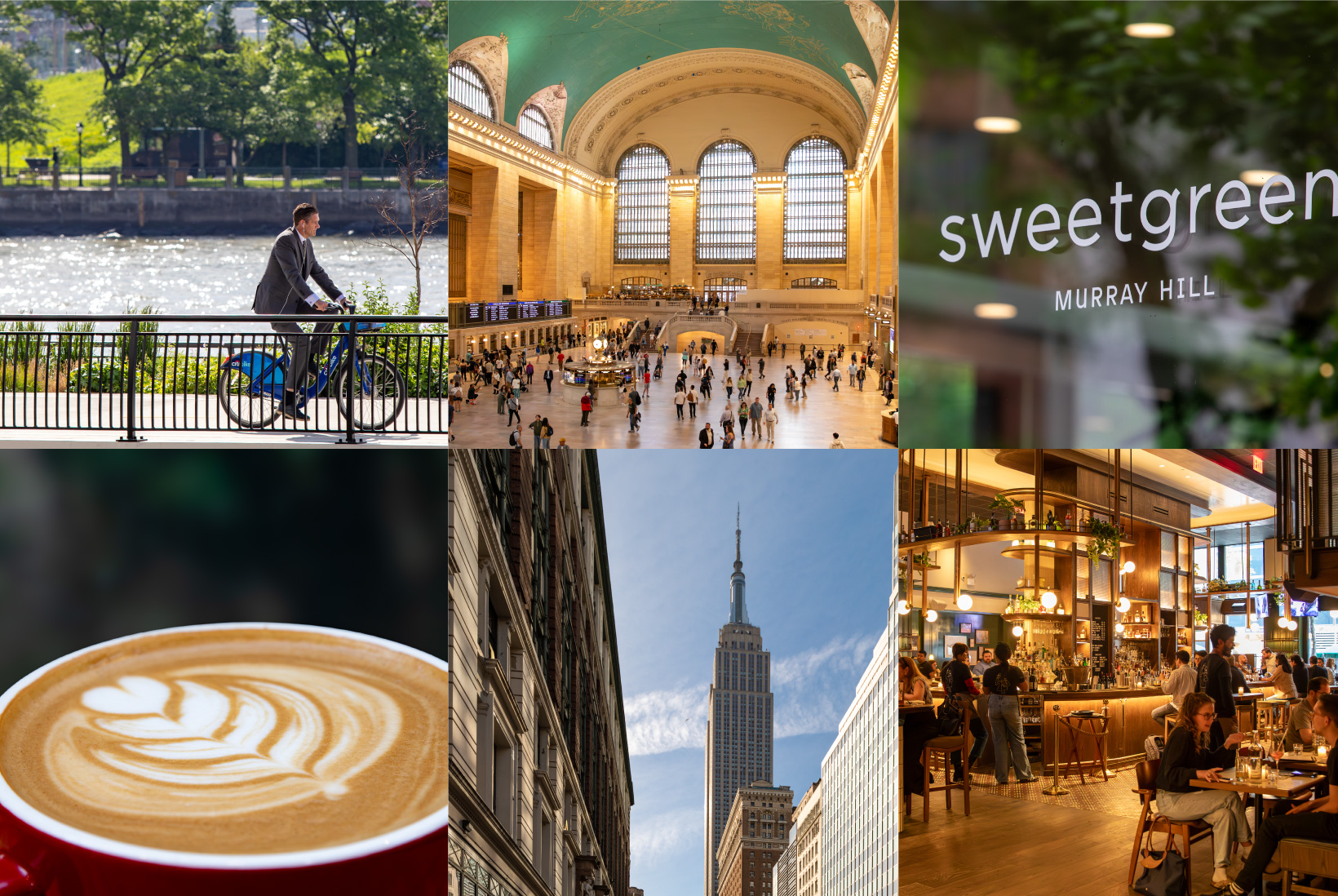 The Lotus neighborhood photos